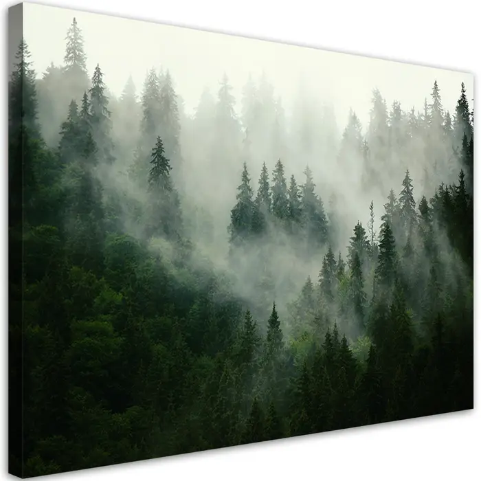 Feeby Carta da parati Foresta nella nebbia 60x40 verde
