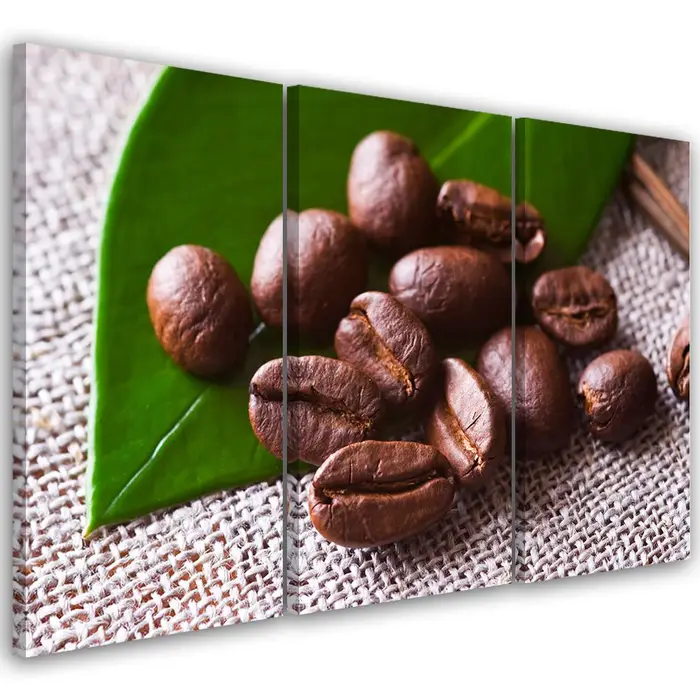 Stampa su tela in tre pezzi Foglia di chicco di caffè 60x40 marrone
