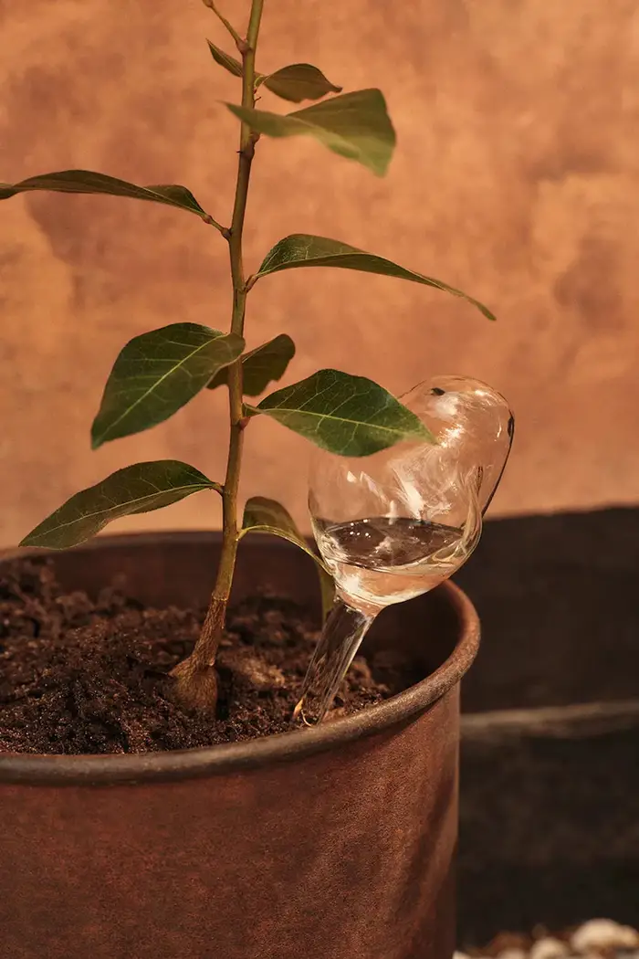 in vetro soffiato 18,5 x 12 x 8 cm Transparente miniatura 3