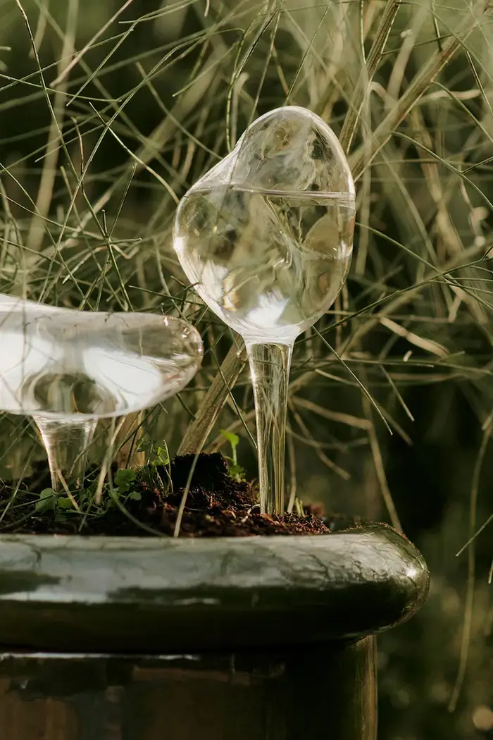 in vetro soffiato 18,5 x 12 x 8 cm Transparente miniatura 4