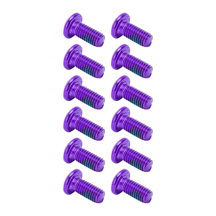 Fishine BOLANY 12 Pezzi Viti Bulloni Rotore Freno a Disco per Mountain Bike Acciaio Legato Viti Rotore Disco
