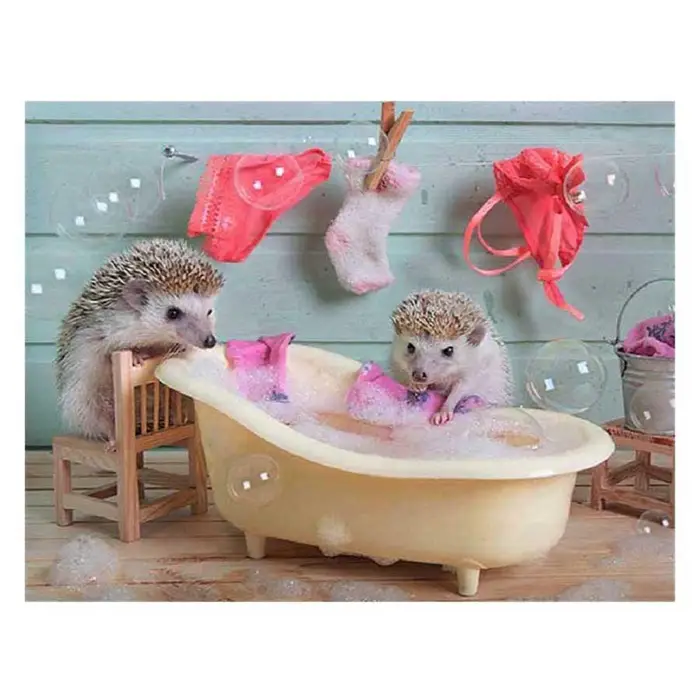 Pittura diamante fai da te Animali che fanno il bagno Riccio Decorazioni per la casa Ricamo diamante punto croce 3D 20X30CM