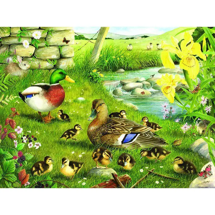 FIYO Pittura Diamante 5D Fai da Te Anatre In Giardino Ricamo Diamante Tondo Pieno Punto Croce Strass 20X30CM