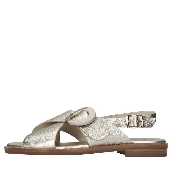 frau Scarpe basse Platino Grigio