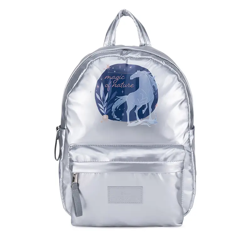 Frozen Zaino ACCCS-AW24-230DFR Argento