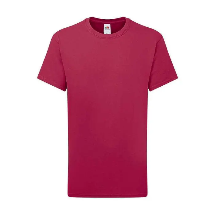 Fruit Of The Loom T-shirt & Polo Iconic 195 Multicolore