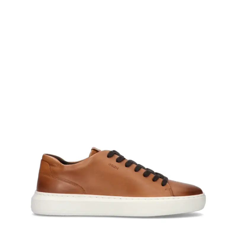 GEOX Sneaker uomo marrone in pelle Vario