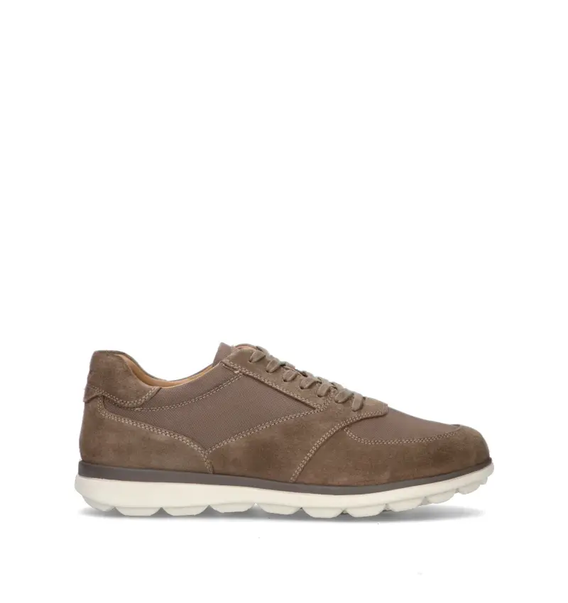 GEOX Sneaker uomo taupe Vario