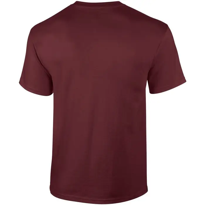 Gildan T-shirts a maniche lunghe GD02 Multicolore