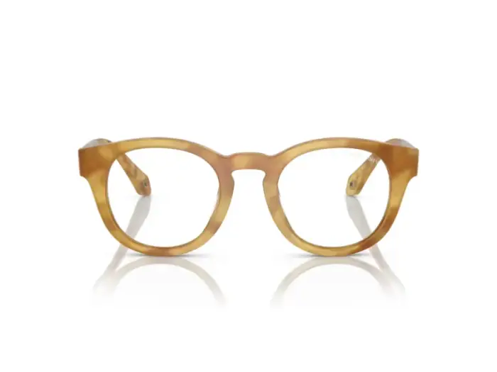 Giorgio Armani Uomo AR8190U 59791W Occhiali da sole Acetato Tartaruga Trasparente Pantos Normale