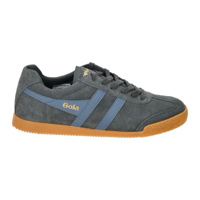 Gola Scarpe da basket in pelle scamosciata Harrier Gris