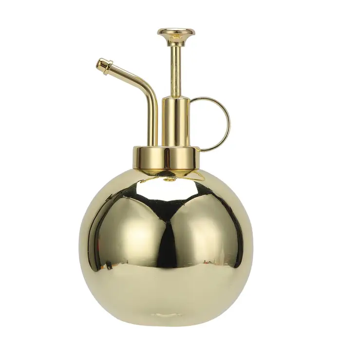 Annaffiatoio in acciaio inossidabile 304, 500 ml, flacone spray liquido, annaffiatoio da giardinaggio per interni