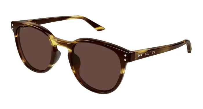 Uomo Gucci GG2134SA 002 Occhiali da sole Acetato Havana Marrone Rotonda