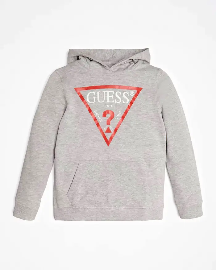 Felpa grigia con cappuccio e logo Icon rosso