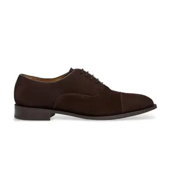 Hackett London Oxford Uomo Marrone 4580195