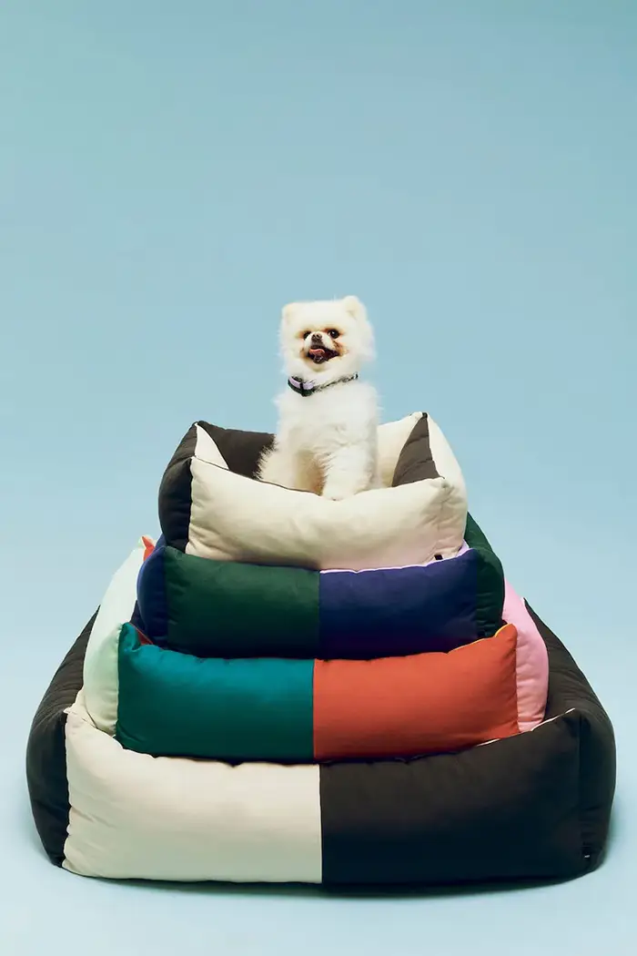 Hay cuccia per animali domestici 78 x 65 x 26 cm Multicolore
