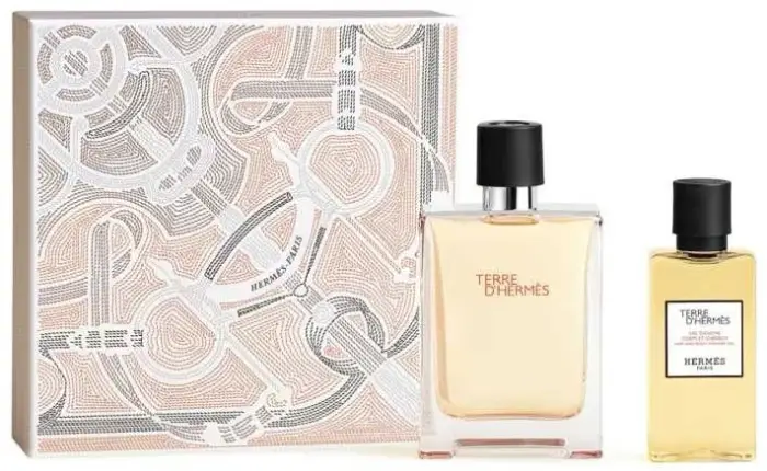 Hermès Terre D´Hermes set regalo EDT 100 ml e gel doccia 80 ml