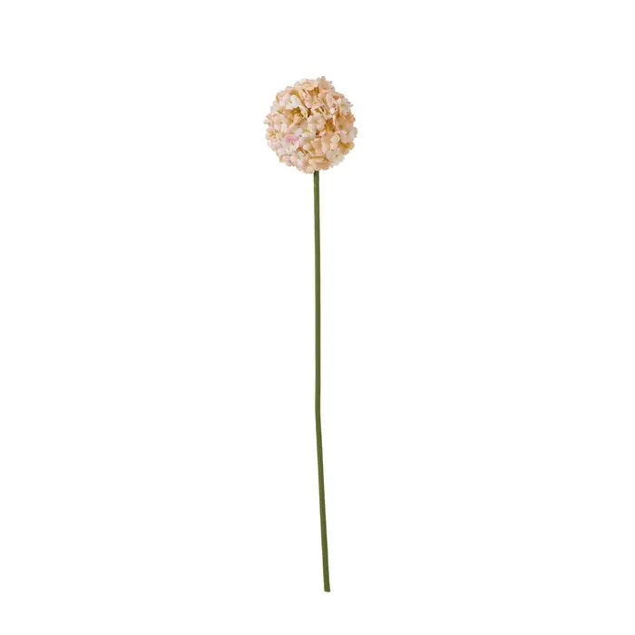 Collezione Giardino Naturale Fiore Artificiale Allium One Size