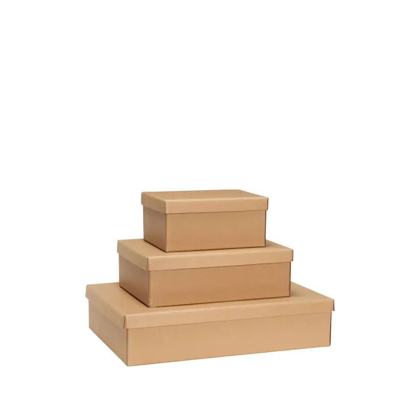 Hubsch Interior Scatola di immagazzinaggio Storeit (x3)