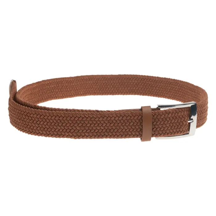 Iguana Cintura Saddler Marron