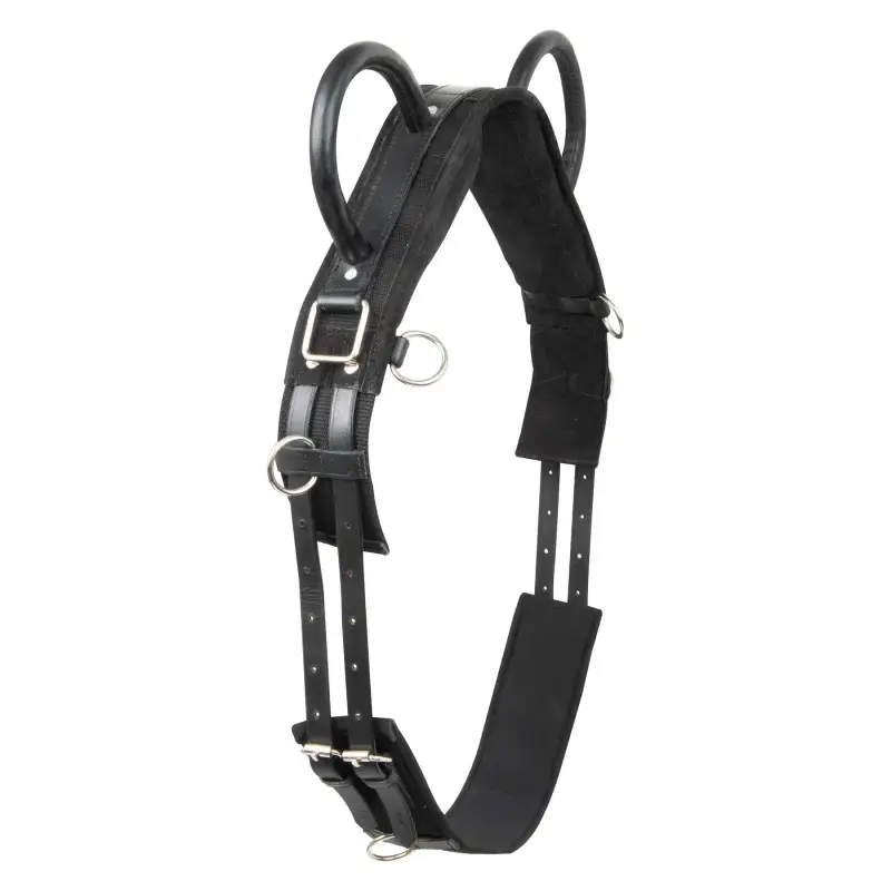 Imperial Riding Cavallo surfaix con due maniglie Vidal