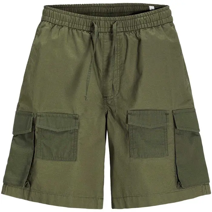 Pantaloni corti Jack & Jones Alfie Multicolore
