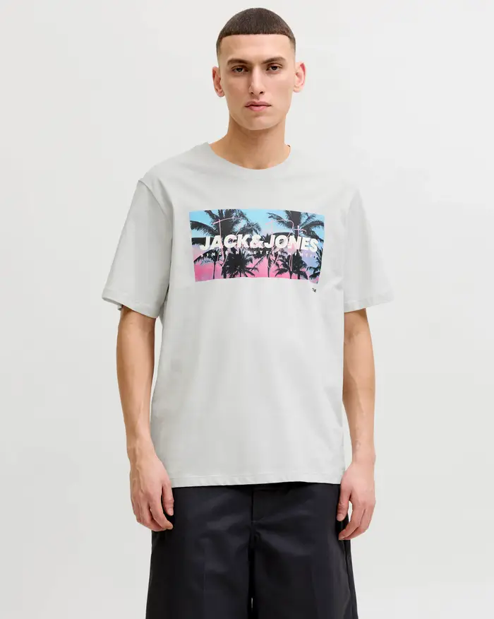Jack & Jones T-shirt mezza manica grigia in cotone con stampa grafica