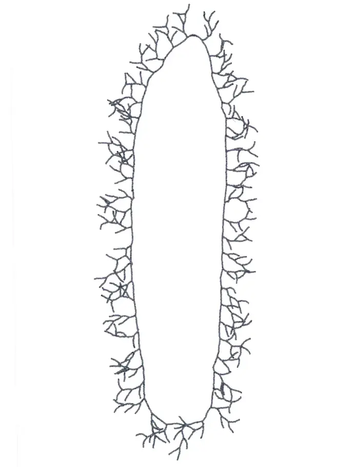 Justmine Donna JACBJ0001-K420-1272 100000