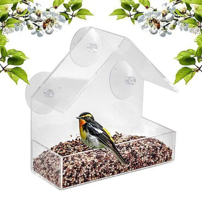 Koogeelife Mangiatoia per uccelli Finestra Mangiatoia per pappagalli Scatola per mangime per uccelli Mangiatoie per uccelli all aperto Casa