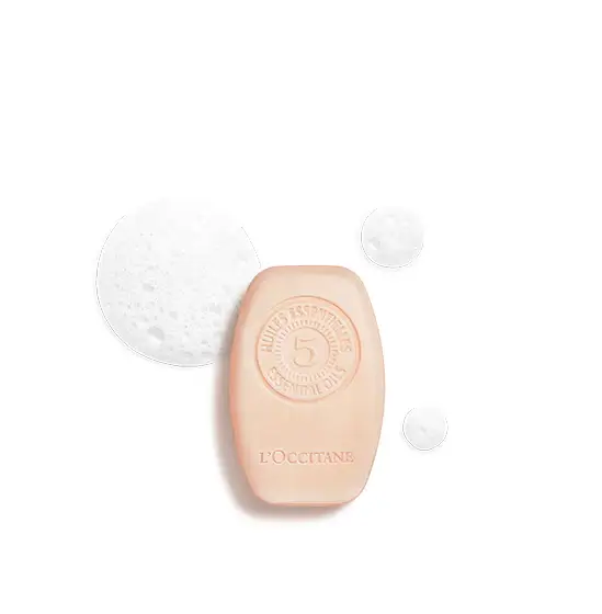 L Occitane Repair Solid Shampoo 60gr