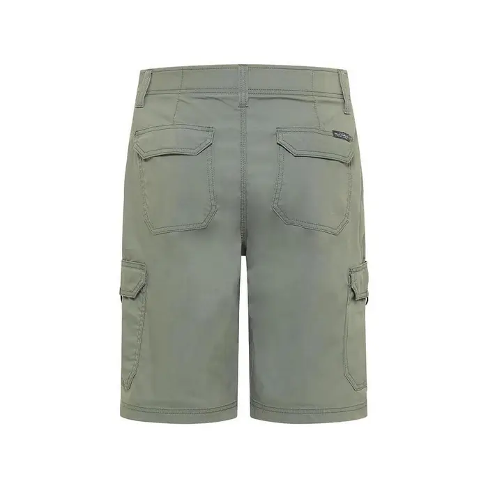 Lee Pantaloni corti Fort Verde