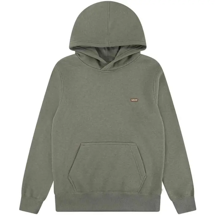 Felpe con cappuccio Levis 8EL452-EHF Verde
