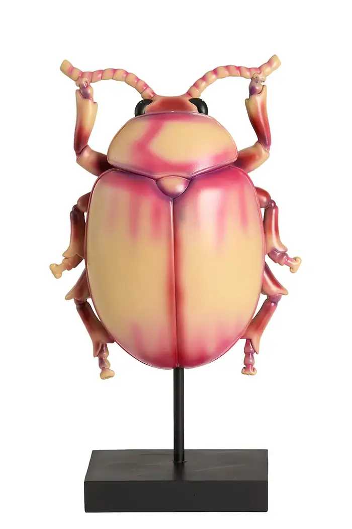 Light & Living Figurina decorativa in plastica 22 x 12 x 42 cm Multicolore