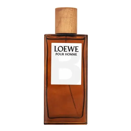 Loewe Pour Homme EDT M 100 ml