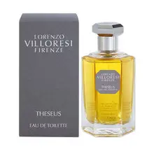 Theseus Eau de toilette - 100ml