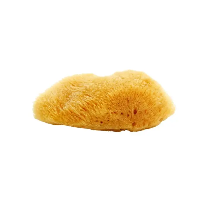 Magnum Natural spugna marina dei Caraibi 10- 12 cm