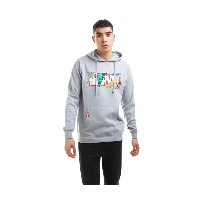 Felpe con cappuccio Marvel TV762 Grigio