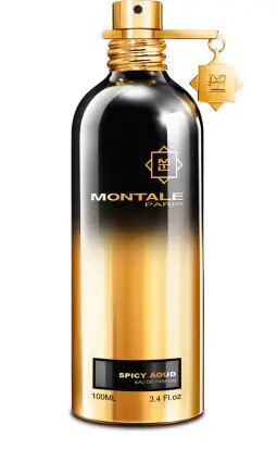 Montale Spicy Aoud - EDP - Volume 100 ml