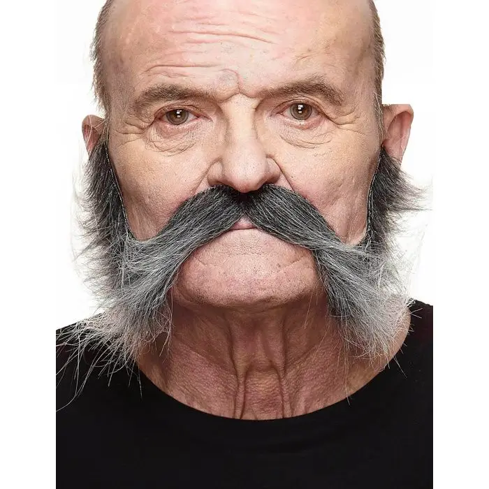 Baffi con basette grigie uomo