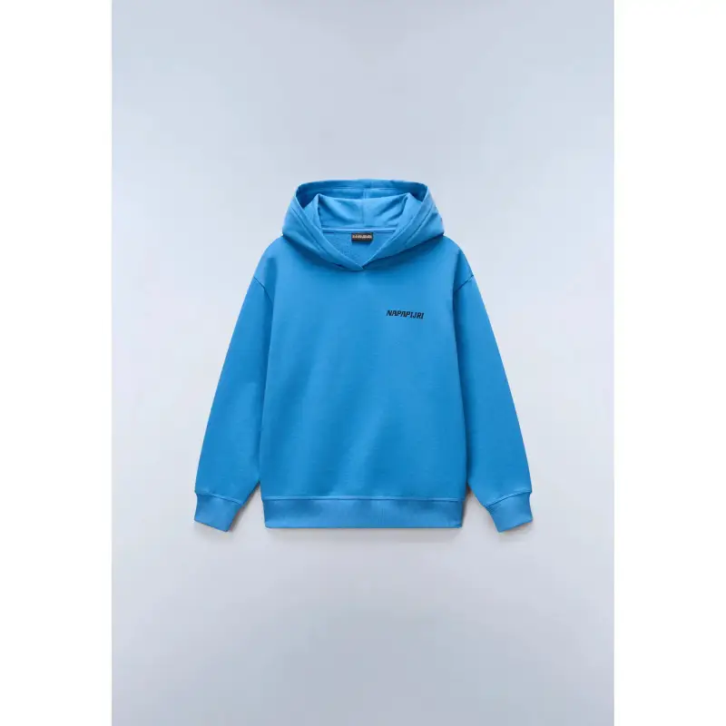 Napapijri Felpa con cappuccio bambino Albedo