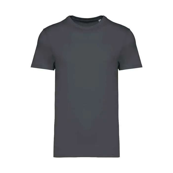 Native Spirit T-shirts a maniche lunghe NS305 Grigio