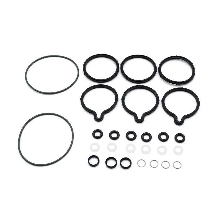 Neoglint Sostituzione per kit di riparazione O-ring di tenuta della pompa del carburante ad alta pressione Bosch CP1 Vauxhall Diesel nero