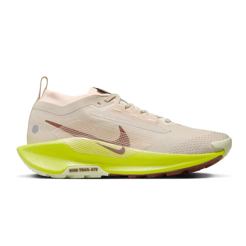 Nike PEGASUS TRAIL 5 GTX DONNA Grigio