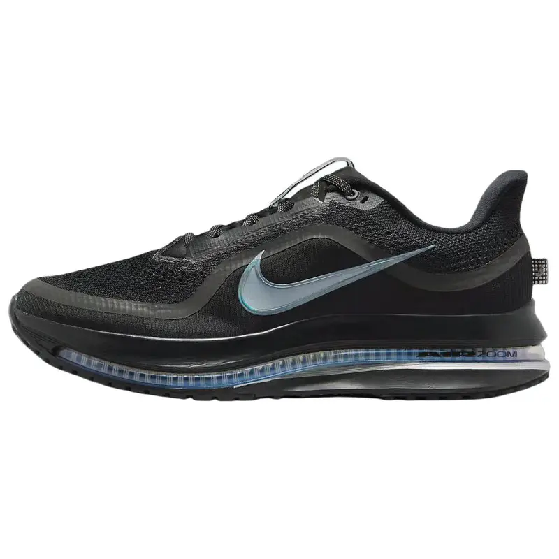 Sneakers da uomo Nike Pegasus Premium Nero Argento Metallizzato HQ2592-005 40.5