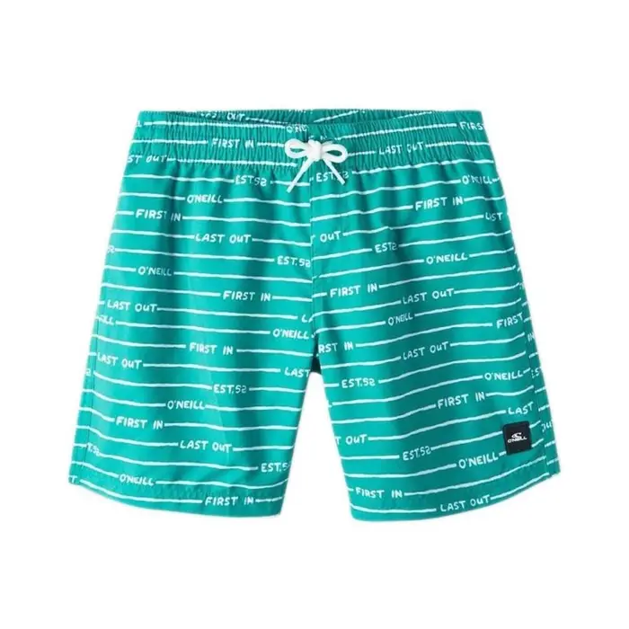O Neill Costume / Bermuda da spiaggia All Year Verde