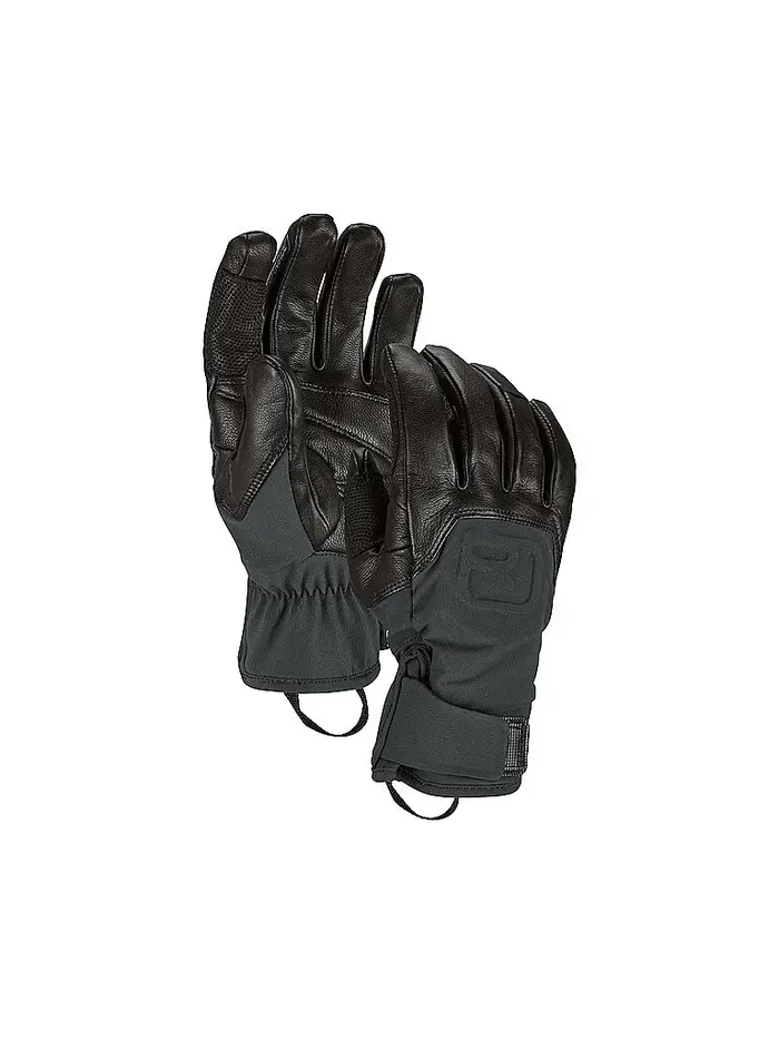 Ortovox Guanti da uomo Alpine Pro nero