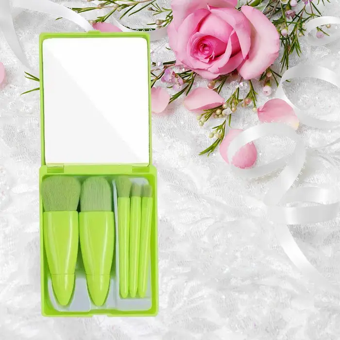 Set di 5 pennelli da trucco da viaggio, mini pennelli da trucco, piccoli pennelli cosmetici completi con custodia e specchio Perfe