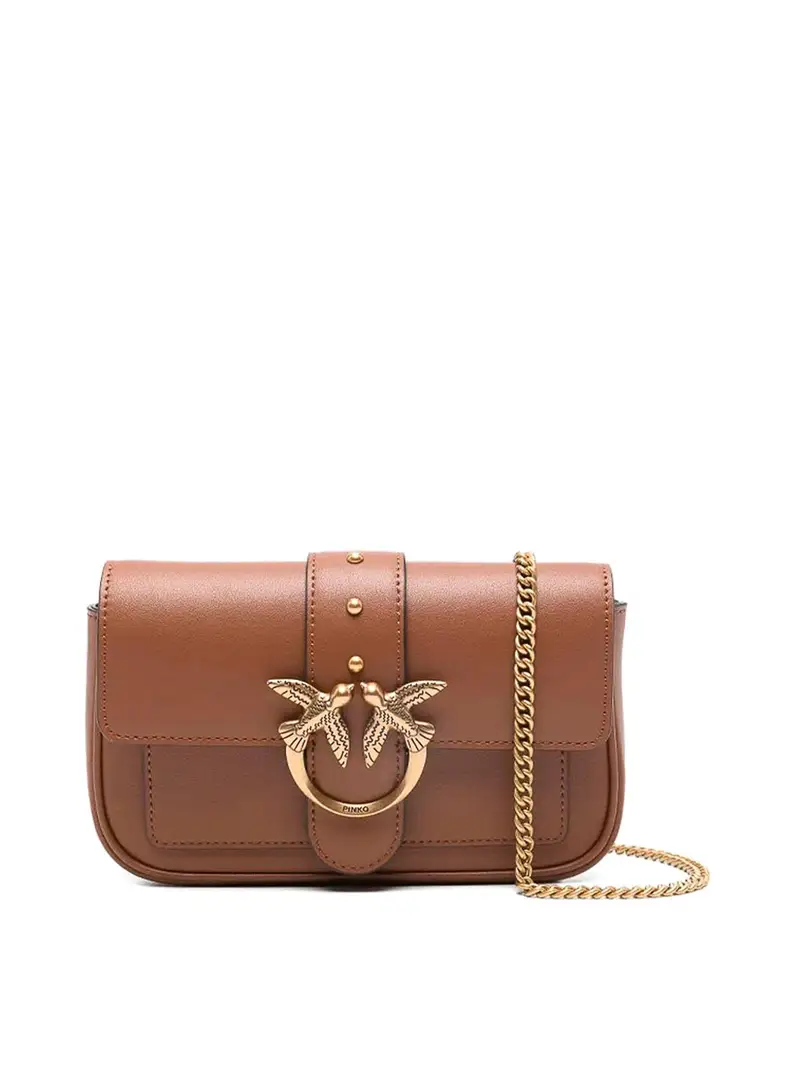 Pinko Borsa tascabile Marrone
