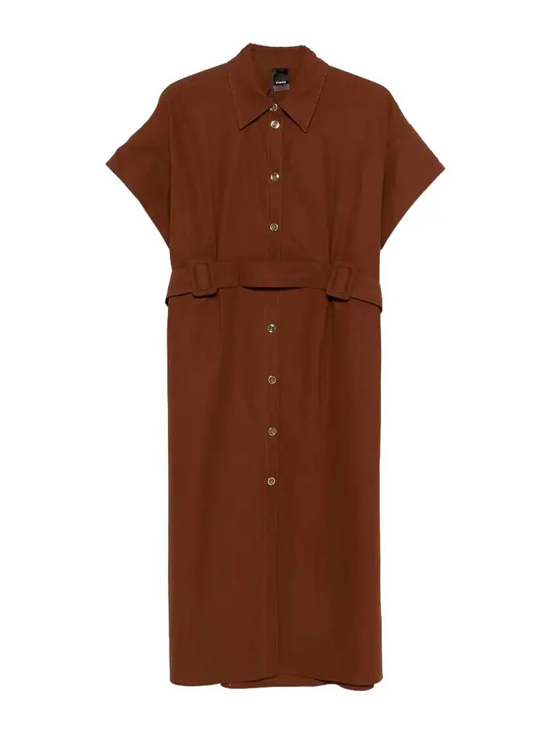 Pinko Vestito Alesha Marrone