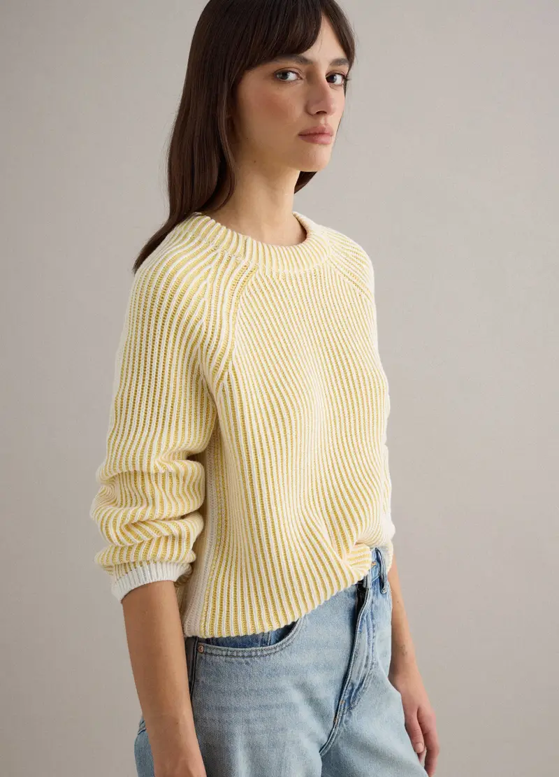 PIOMBO Pullover In Puro Cotone A Righe Multicolor Regular Fit, Donna, Multicolor